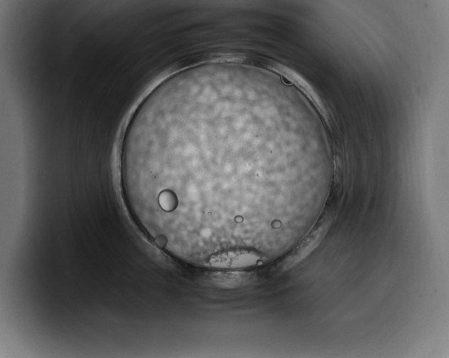 X0000099980859200806131358