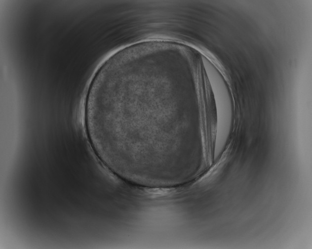 X0000099980862200806131358