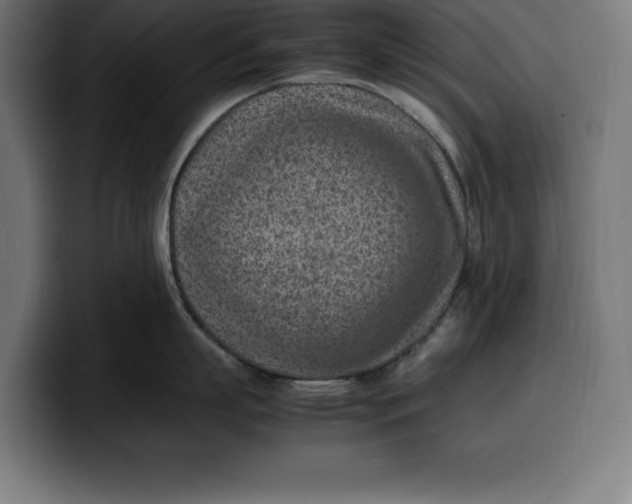 X0000099980863200806131358