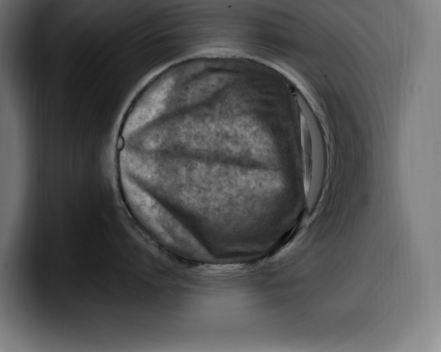 X0000099980864200806131358