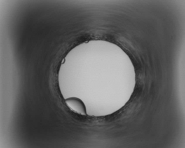 X0000099980865200806131357