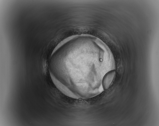 X0000099980866200806131357