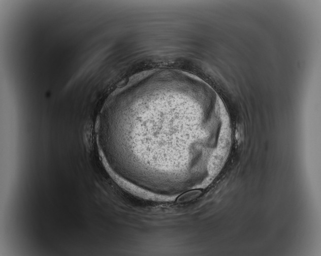 X0000099980867200806131357