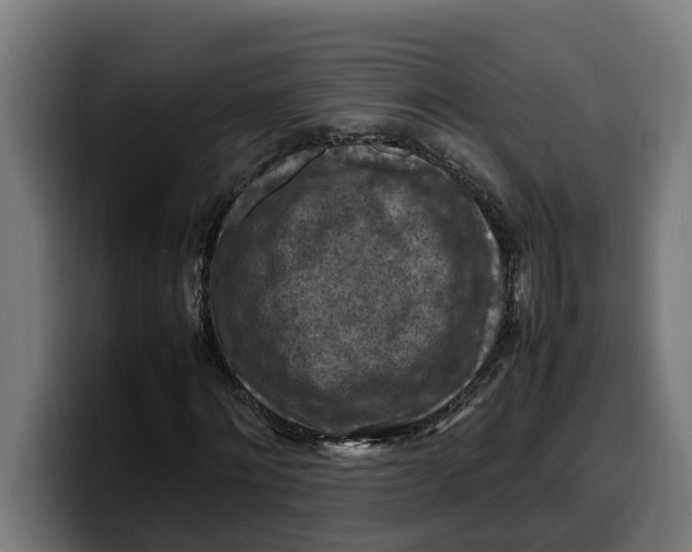 X0000099980868200806131357