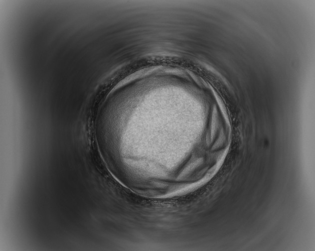 X0000099980870200806131357