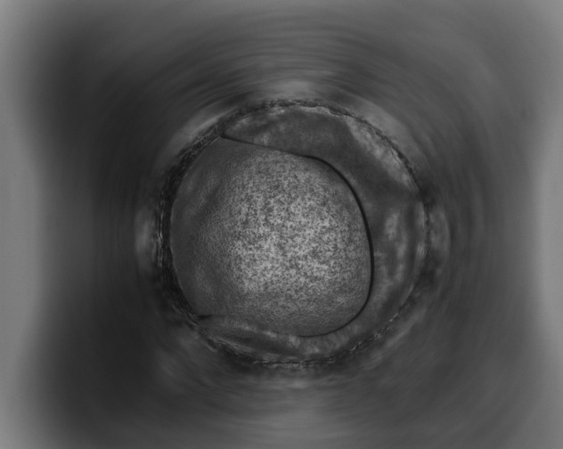 X0000099980872200806131357