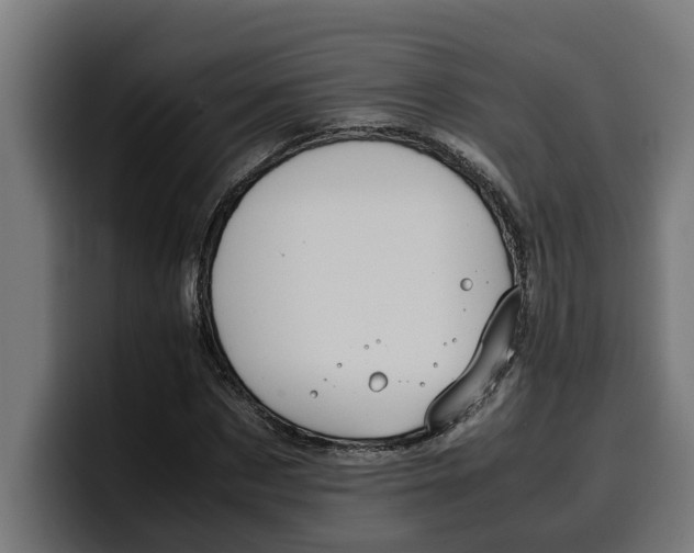 X0000099980873200806131357