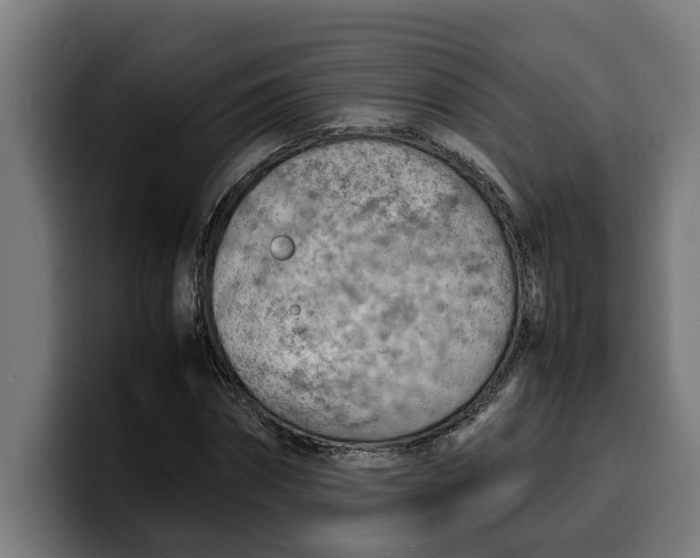 X0000099980874200806131357