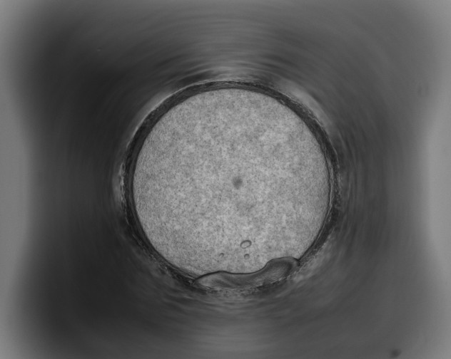 X0000099980875200806131357