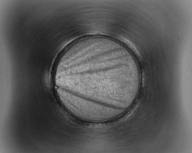 X0000099980876200806131357