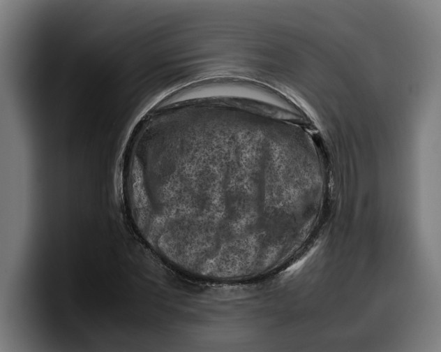 X0000099980877200806131357