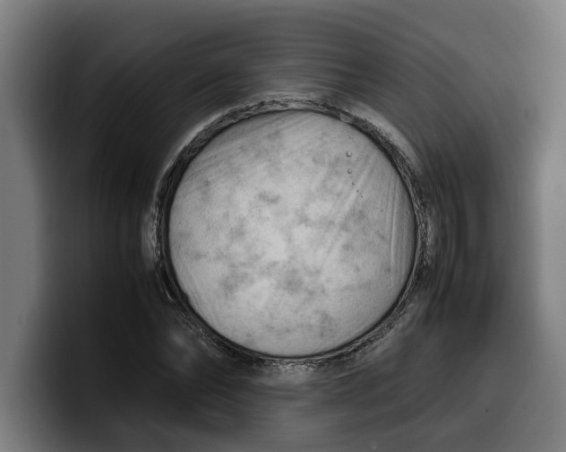 X0000099980878200806131357