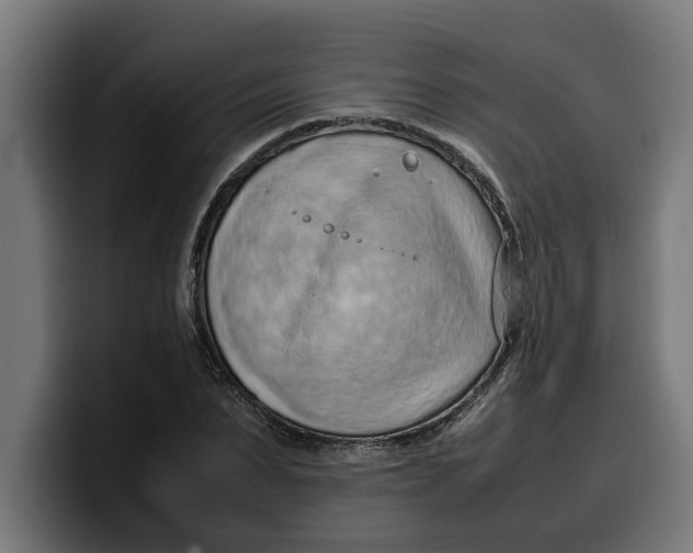 X0000099980879200806131357