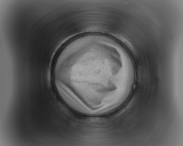 X0000099980880200806131357