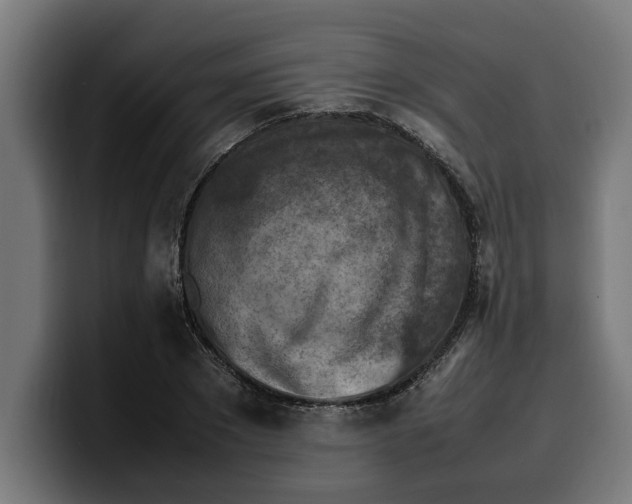 X0000099980881200806131357