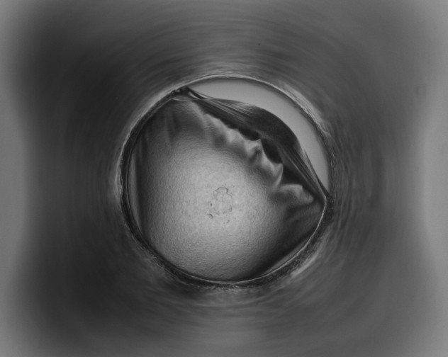 X0000099980885200806131357