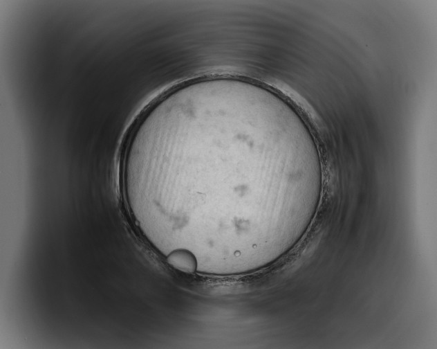 X0000099980886200806131357