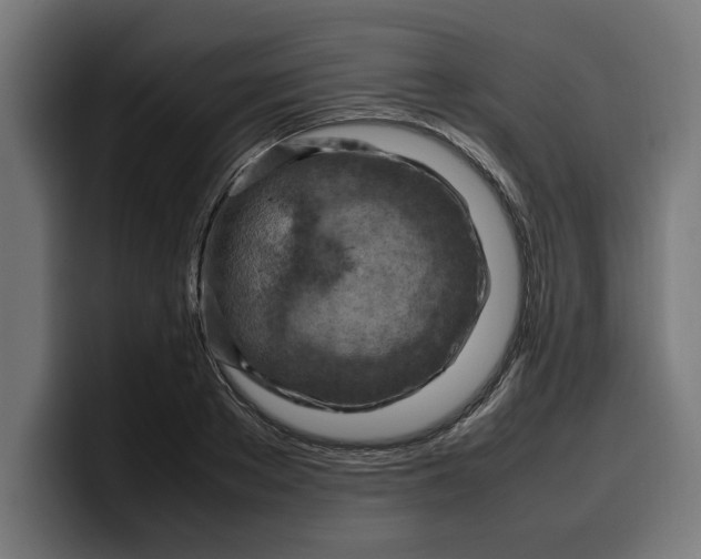 X0000099980889200806131357