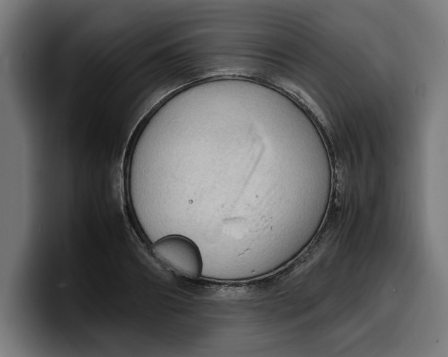 X0000099980890200806131357