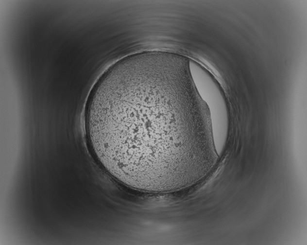 X0000099980891200806131357