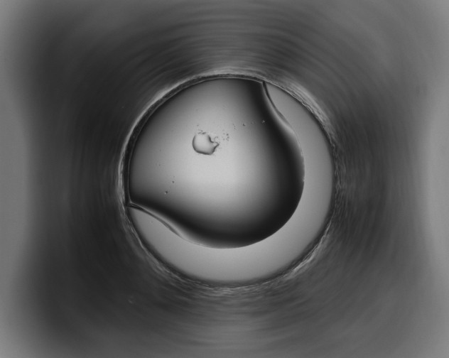 X0000099980892200806131357