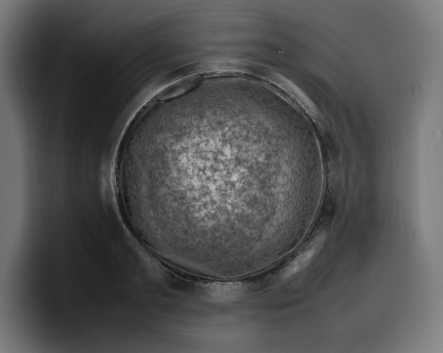 X0000099980893200806131357