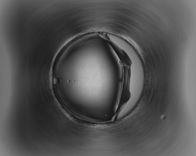 X0000099980894200806131357