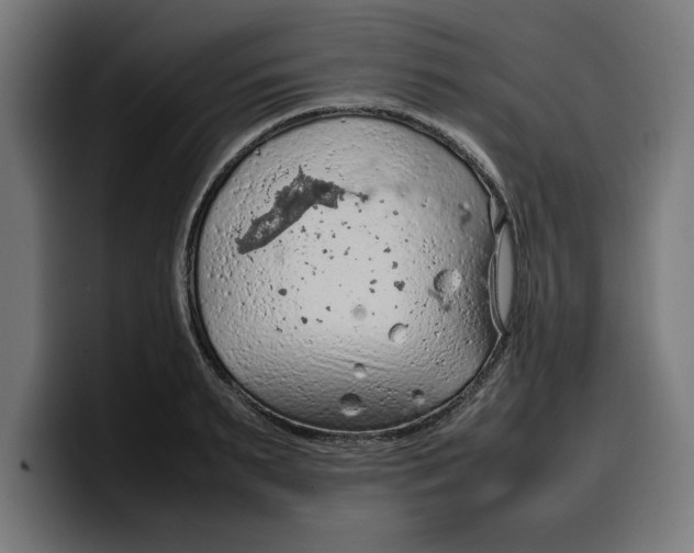 X0000099980895200806131357