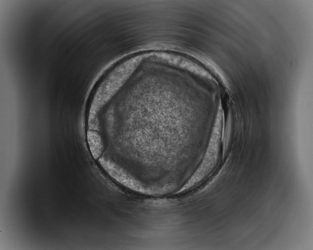 X0000099980896200806131357