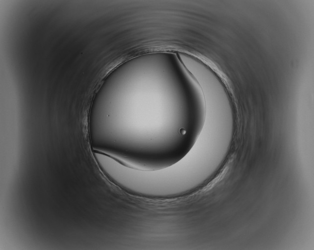 X0000099980897200806131357