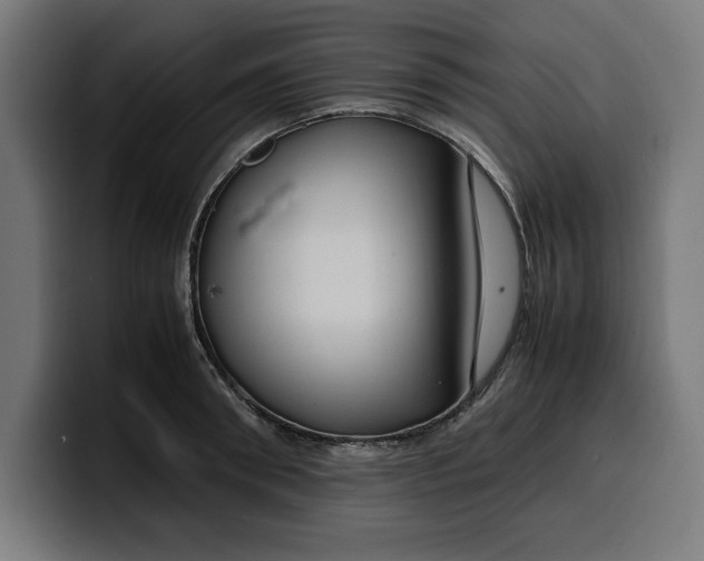 X0000099980898200806131357