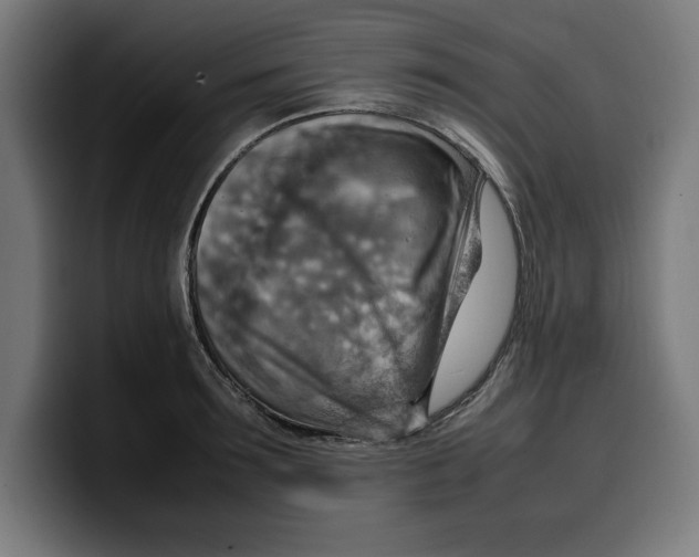 X0000099980899200806131357