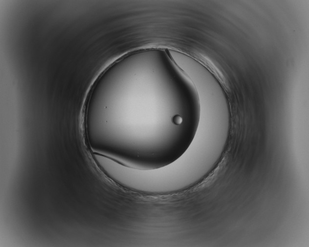 X0000099980900200806131357