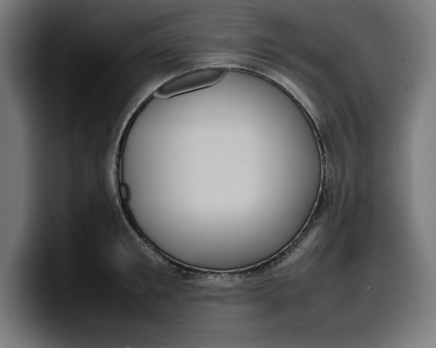 X0000099980901200806131357