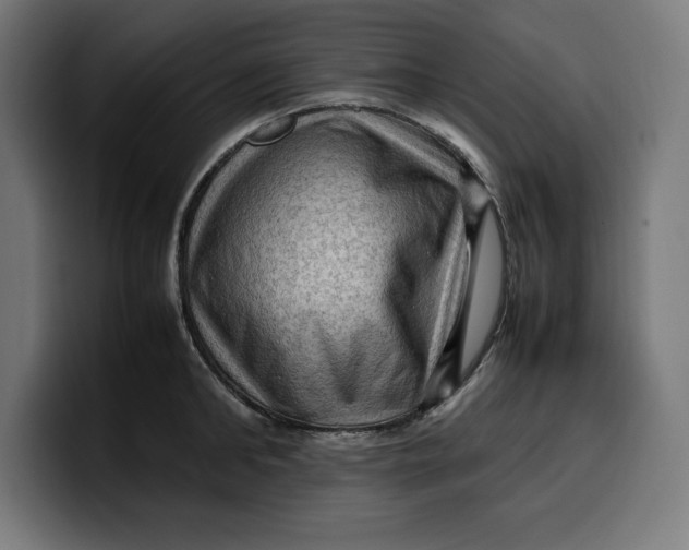 X0000099980902200806131356