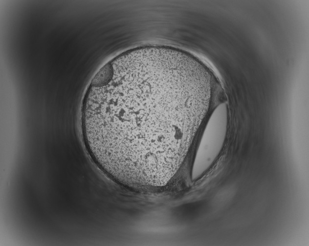 X0000099980903200806131356