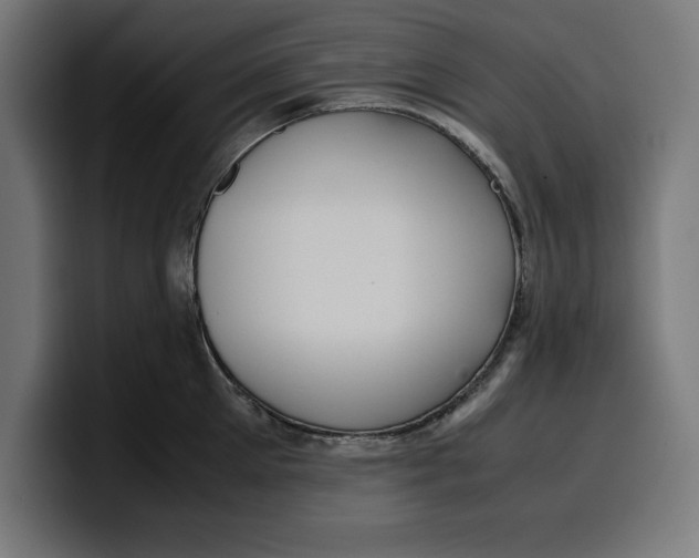 X0000099980905200806131356