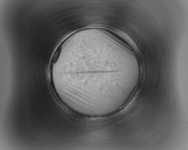 X0000099980908200806131356