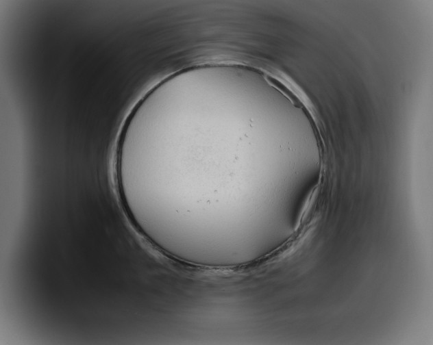 X0000099980909200806131356