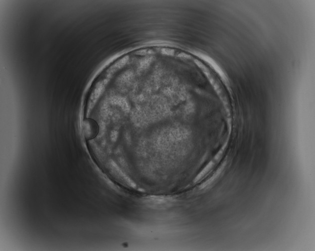 X0000099980910200806131356