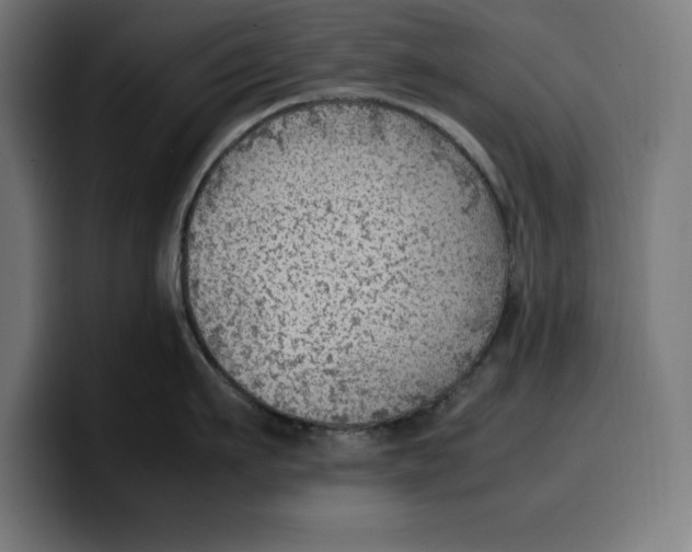 X0000099980911200806131356