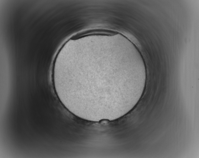 X0000099980912200806131356