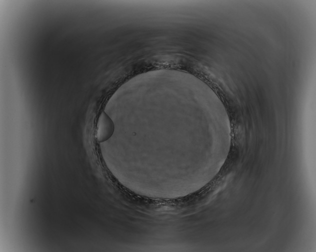 X0000099980913200806131356