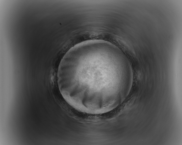 X0000099980914200806131356