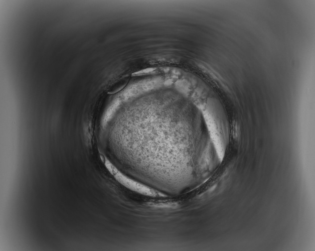 X0000099980915200806131356