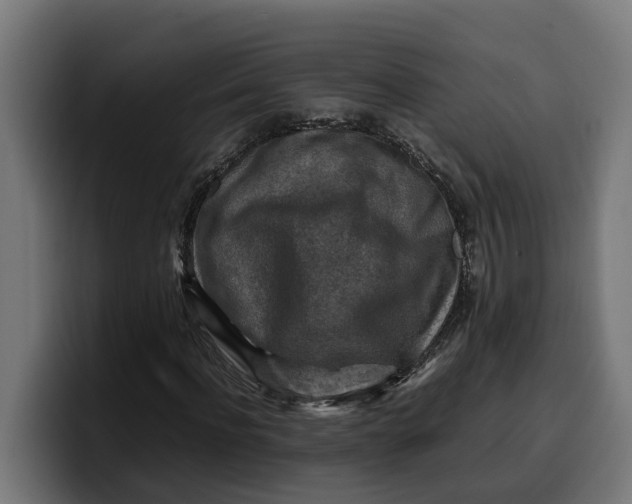 X0000099980916200806131356