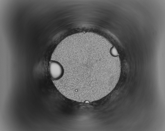 X0000099980918200806131356