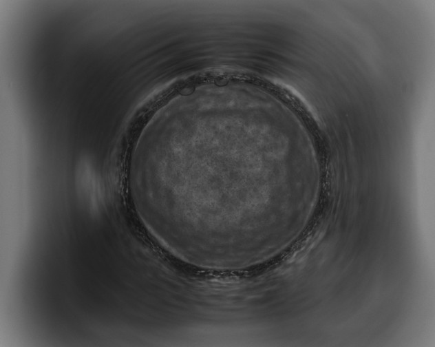 X0000099980919200806131356