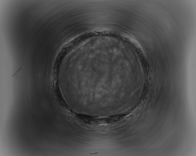 X0000099980920200806131356