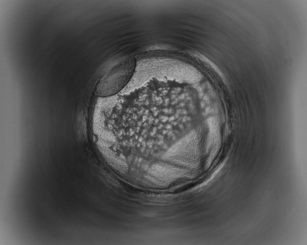 X0000099980921200806131356